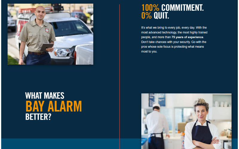 bay alarm website